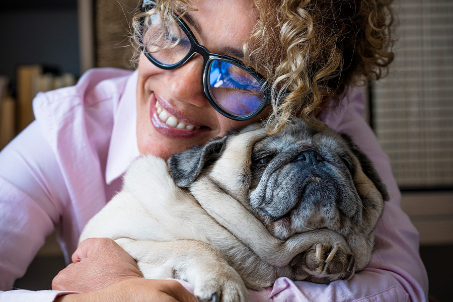 Première année avec un chiot ou un chaton : pourquoi l&rsquo;assurance change tout ?